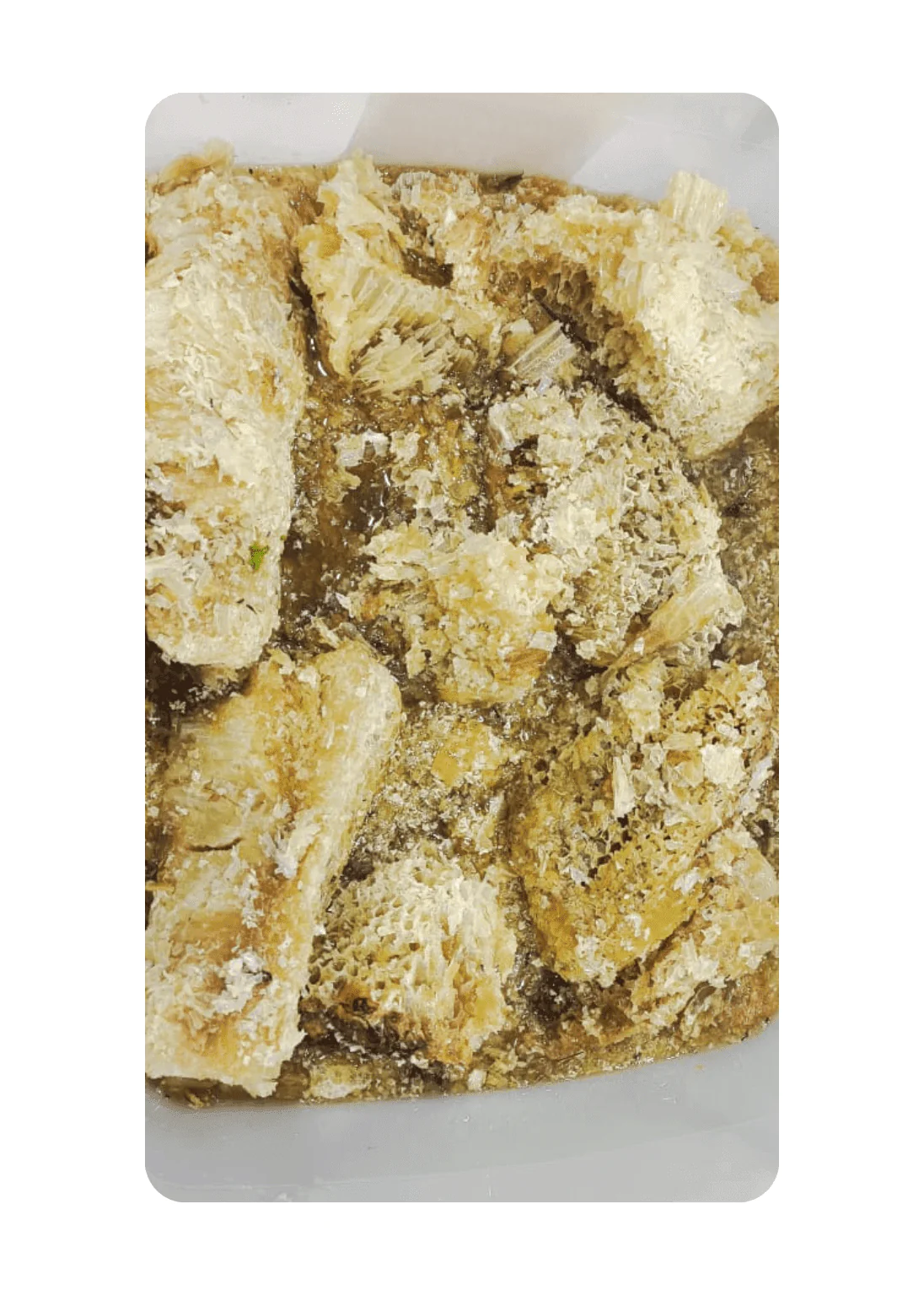 Fresh Mosam -E-Bahar Honey Comb